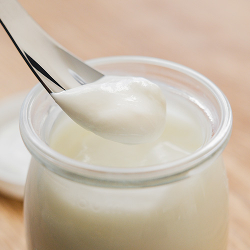 Yog Pot（ヨグポット）